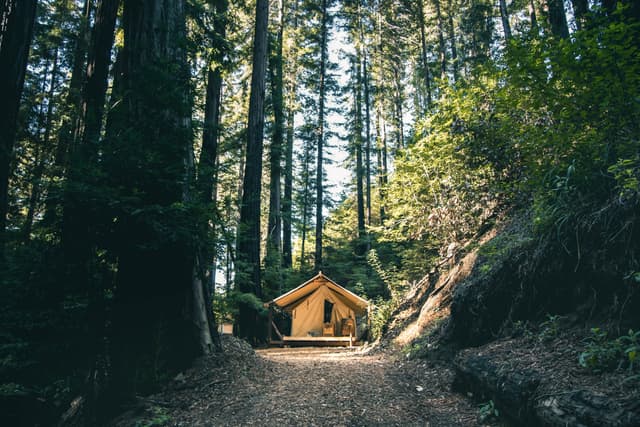 Camping in Big Sur