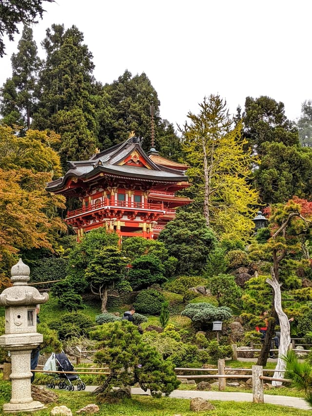 Strolling through the Japanese Tea Garden in Golden Gate Park