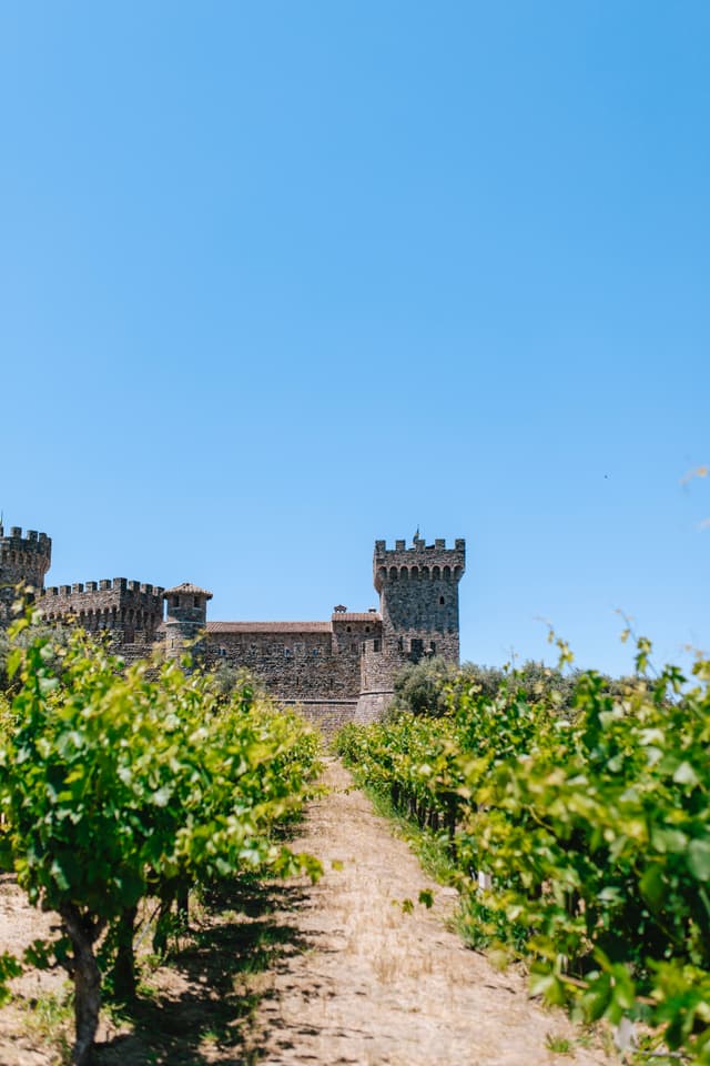 Tasting Wine in Napa Valley